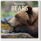 Bears - Bären 2027 - 16-Monatskalender