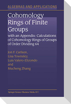 Cohomology Rings of Finite Groups