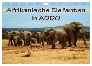 Wyk, Anke van. Afrikanische Elefanten in ADDO (Wandkalender 2024 DIN A4 quer), CALVENDO Monatskalender - Bilder aus dem ADDO Elephant National Park/Südafrika.. Calvendo, 2023.