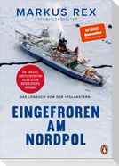Eingefroren am Nordpol