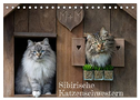 Maui und Molokai - Sibirische Katzenschwestern (Tischkalender 2024 DIN A5 quer), CALVENDO Monatskalender