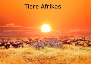 Tiere Afrikas. Lais Systeme GmbH, 2026.