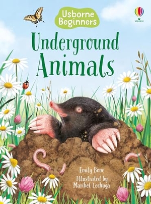 Bone, Emily. Underground Animals (Usborne Beginners). Usborne Books, 2025.