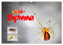 ui - Spinne. Kleine Spinnen - groß im Bild (Wandkalender 2024 DIN A2 quer), CALVENDO Monatskalender