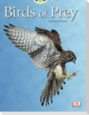 Bug Club Independent Non Fiction Year Two White A Birds of Prey