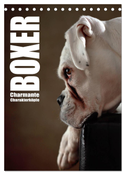 Boxer - Charmante Charakterköpfe (Tischkalender 2024 DIN A5 hoch), CALVENDO Monatskalender