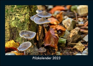 Tobias Becker. Pilzkalender 2023 Fotokalender DIN A5 - Monatskalender mit Bild-Motiven aus Fauna und Flora, Natur, Blumen und Pflanzen. Vero Kalender, 2022.