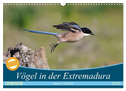 Vögel in der Extremadura (Wandkalender 2024 DIN A3 quer), CALVENDO Monatskalender