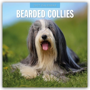 Red, Robin. Bearded Collies - Bearded Collie 2027 - 16-Monatskalender - Original Red Robin Publishing Ltd-Kalender [Mehrsprachig] [Kalender]. Browntrout Verlags GmbH, 2026.