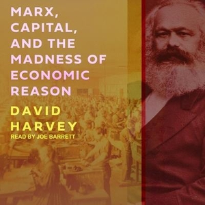 Harvey, David. Marx, Capital, and the Madness of Economic Reason. Tantor, 2019.