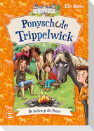Ponyschule Trippelwick - Da lachen ja die Ponys