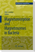 Magnetoreception and Magnetosomes in Bacteria