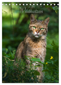 Wildkatzen - scheue Jäger (Tischkalender 2024 DIN A5 hoch), CALVENDO Monatskalender