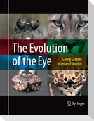 The Evolution of the Eye