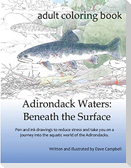 Adirondack Waters: Beneath the Surface