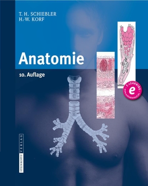 Schiebler, Theodor Heinrich / Horst-Werner Korf. Anatomie - Histologie, Entwicklungsgeschichte, makroskopische und mikroskopische Anatomie, Topographie. Steinkopff Dr. Dietrich V, 2007.