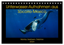 Unterwasser-Aufnahmen aus Socorro-Mexico (Tischkalender 2024 DIN A5 quer), CALVENDO Monatskalender