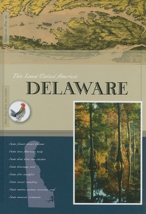 Wimmer, Teresa. Delaware. Amicus, 2008.