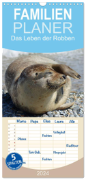 Familienplaner 2024 - Das Leben der Robben mit 5 Spalten (Wandkalender, 21 x 45 cm) CALVENDO