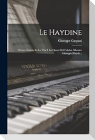 Le Haydine: Ovvero Lettere Su La Vita E Le Opere Del Celebre Maestro Giuseppe Haydn...