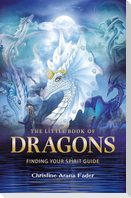 The Little Book of Dragons