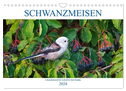 Schwanzmeisen (Wandkalender 2024 DIN A4 quer), CALVENDO Monatskalender