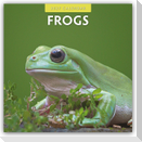 Frogs - Frosch - Frösche 2027 - 16-Monatskalender
