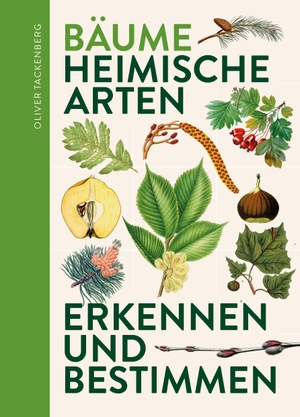 Tackenberg, Oliver. Bäume - Heimische Baumarten erkennen & bestimmen. Favoritenpresse, 2023.