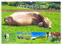 Weideviecher, Kühe liebevolle Wiederkäuer (Wandkalender 2024 DIN A2 quer), CALVENDO Monatskalender