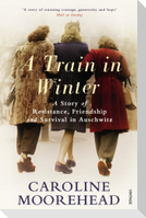 A Train in Winter