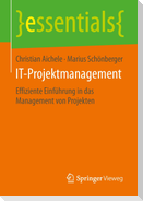 IT-Projektmanagement