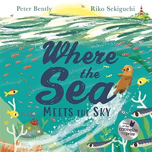 Bently, Peter. Where the Sea Meets the Sky. Hachette Children's Group, 2020.