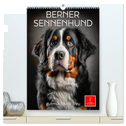 Berner Sennenhund - gutmütig und treu (hochwertiger Premium Wandkalender 2025 DIN A2 hoch), Kunstdruck in Hochglanz