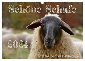 Kelle-Dingel, Cordula. Schöne Schafe (Wandkalender 2024 DIN A3 quer), CALVENDO Monatskalender - Alle Schafe sind schön - jedes Tier und jede Rasse hat seine eigene Ausstrahlung. Calvendo, 2023.
