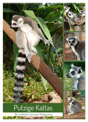Kleemann, Claudia. Putzige Kattas (Wandkalender 2024 DIN A2 hoch), CALVENDO Monatskalender - Niedliche Lemuren aus Madagaskar. Calvendo, 2023.