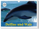 Delfine und Wale (Wandkalender 2025 DIN A4 quer), CALVENDO Monatskalender