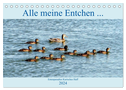Alle meine Entchen ... Entenparadies Kurisches Haff (Tischkalender 2024 DIN A5 quer), CALVENDO Monatskalender