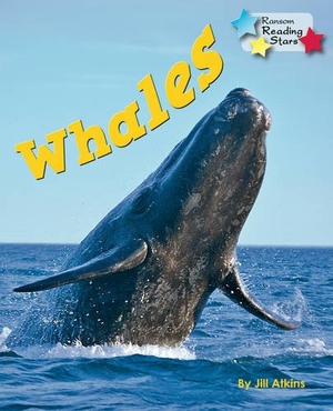 Atkins Jill. Whales. Ransom Publishing, 2019.