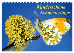 Reupert, Lothar. Wunderschöne Schmetterlinge (Wandkalender 2024 DIN A3 quer), CALVENDO Monatskalender - Heimische Schmetterlinge in ihrer natürlichen Umgebung. Calvendo Verlag, 2023.