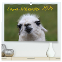 Lama-Kalender 2024 (hochwertiger Premium Wandkalender 2024 DIN A2 quer), Kunstdruck in Hochglanz