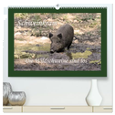 Schweinkram - Die Wildschweine sind los (hochwertiger Premium Wandkalender 2025 DIN A2 quer), Kunstdruck in Hochglanz