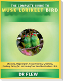 The Complete Guide to Musk Lorikeet Bird