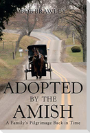 Adopted by the Amish