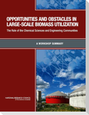 Opportunities and Obstacles in Large-Scale Biomass Utilization