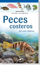 Peces costeros del mar Balear