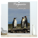 Mit Pinguinen durch das Jahr (hochwertiger Premium Wandkalender 2025 DIN A2 hoch), Kunstdruck in Hochglanz