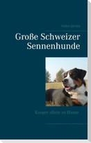 Große Schweizer Sennenhunde - Kooper allein zu Hause