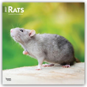 Publishers, Browntrout. Rats - Ratten 2027 - 16-Monatskalender - Original BrownTrout-Kalender [Mehrsprachig] [Kalender]. Browntrout Verlags GmbH, 2026.