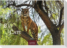 Big Cats Kalender 2027 - Wandkalender | Fotokalender Tierkalender 24x35cm - Wunderschöner Großkatzen-. mit beeindruckenden Fotos von Tiger| Löwen | Jaguar | Gepard | Luchs | Puma