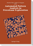 Automated Pattern Analysis in Petroleum Exploration